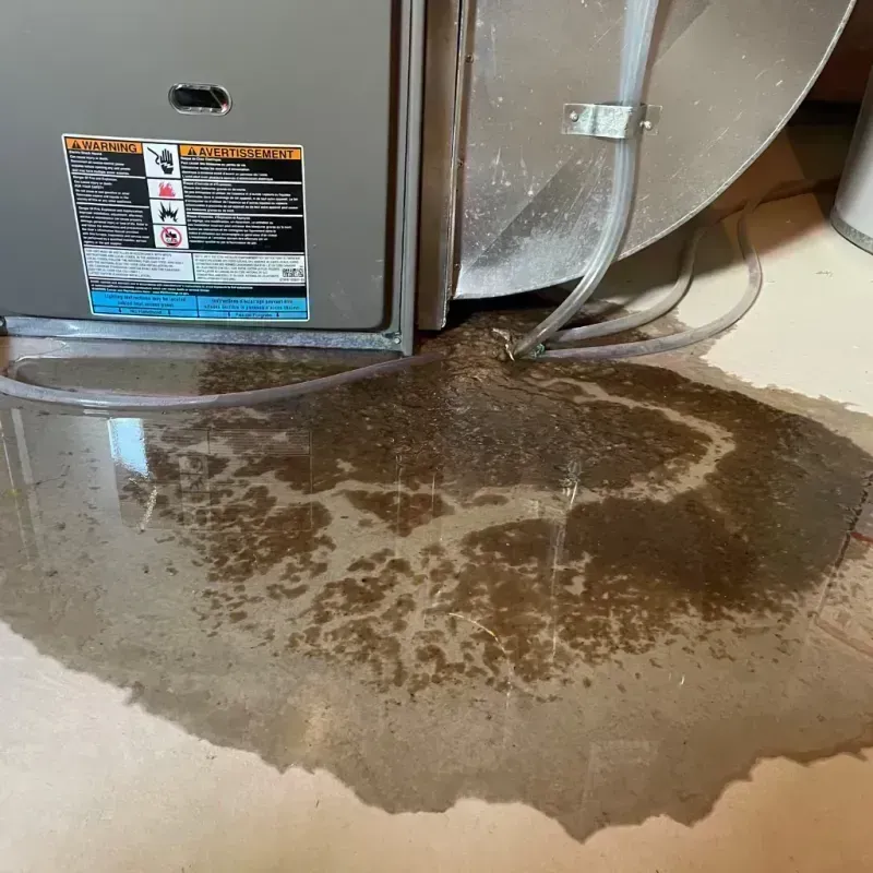 Appliance Leak Cleanup in Cass County, MI